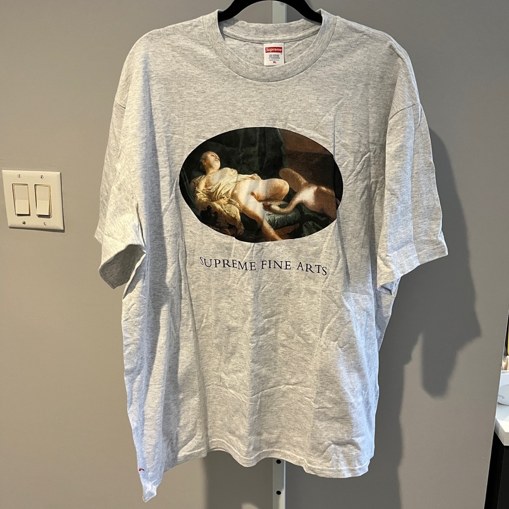 **Supreme Leda and the Swan grey fine arts T shirt size XL